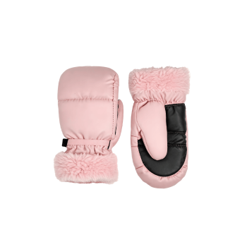 Ski Gloves 08